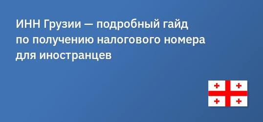 ИНН Грузии — подробный гайд по получению налогового номера для иностранцев