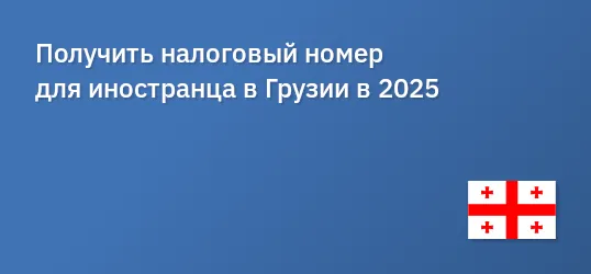 Получить налоговый номер для иностранца в Грузии в 2025